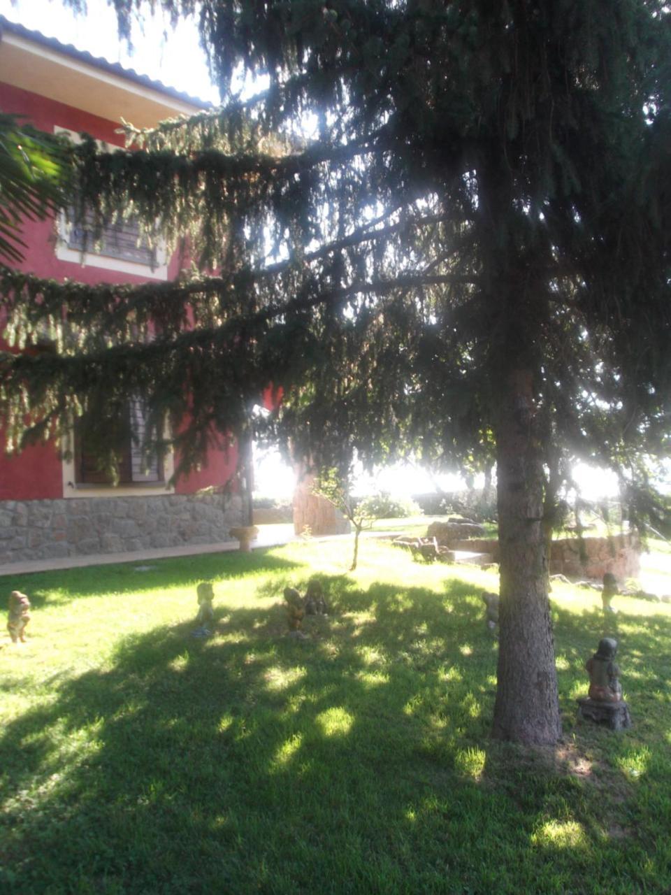 Agriturismo Casal Grande Canepina Exteriör bild